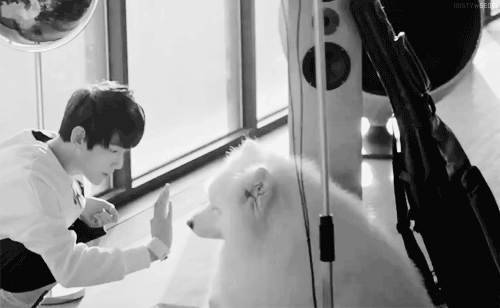 [EXO/백현] 생일 날, 운 좋게 팬싸인회 갔다가 번호 받은 썰, 첫번째 | 인스티즈