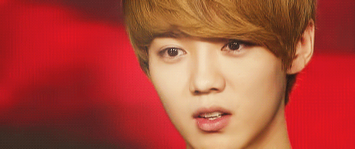 [EXO/루한] 징어 vs 루한 1 | 인스티즈