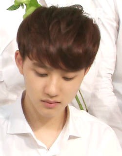 [EXO/경수] 겁나 까칠한데 겁나 설레는 츤츤돋는 애인있음; 33 (부제:눈조심!) | 인스티즈