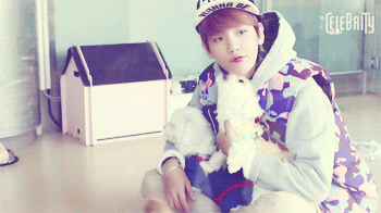 [EXO/오백] 봄날의 테디베어를 아세요? 01 | 인스티즈