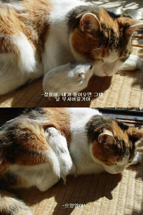 내가 돌아오면 그 땐 널 부셔버릴거야 - 인스티즈(instiz) 이슈 카테고리