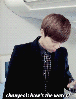 [엑소/징어] 징까살이라고 들어는보았는가! 50 특별편! | 인스티즈