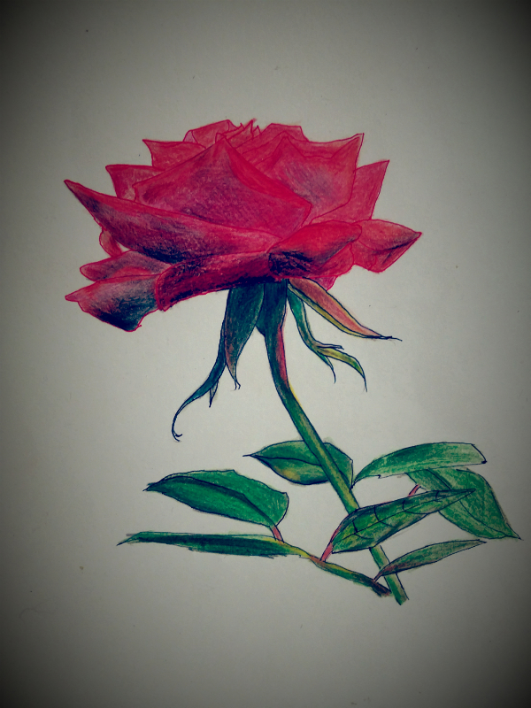 [꽃집] 선물 감사합니다 | 인스티즈