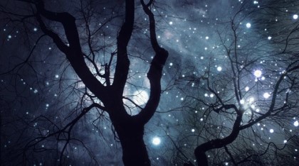 [백도] 보통의 순간 | 인스티즈