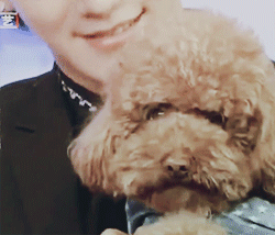 [EXO/징어] EXOMART에는 품질 좋은 직원들이 있어요 47 | 인스티즈