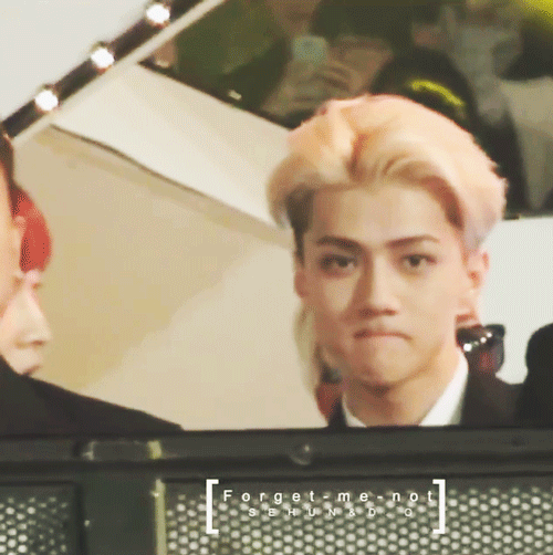 오세훈 움짤털이(ㅅㅇㅈㅇ) | 인스티즈