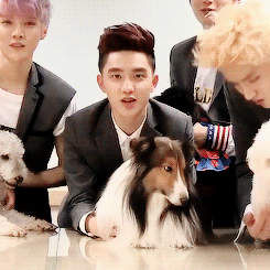 [EXO] 조금만 더 가까이 | 인스티즈