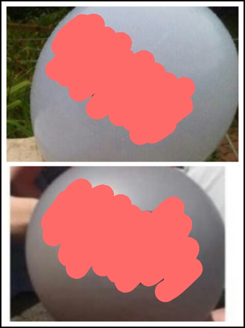 지금 색깔 문제로 해탈할꺼 같은 팬덤.jpg | 인스티즈