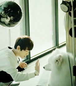 [EXO/다각] 소년가장 도경수, 세계 일진 김종인의 깔.이.되.다? - Pro | 인스티즈