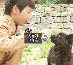 [VIXX/아빠어디가] 빅스판 아빠, 어디가? | 인스티즈