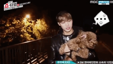 [EXO/징어] 새벽에 한강으로 산책하러 나갔다가 엑소 만나서 농구한 썰 13 | 인스티즈