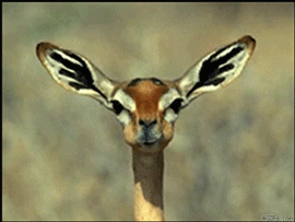 [EXO] 내가 엑소랑 친구라고? 넝~담ㅎ 아닌데 | 인스티즈