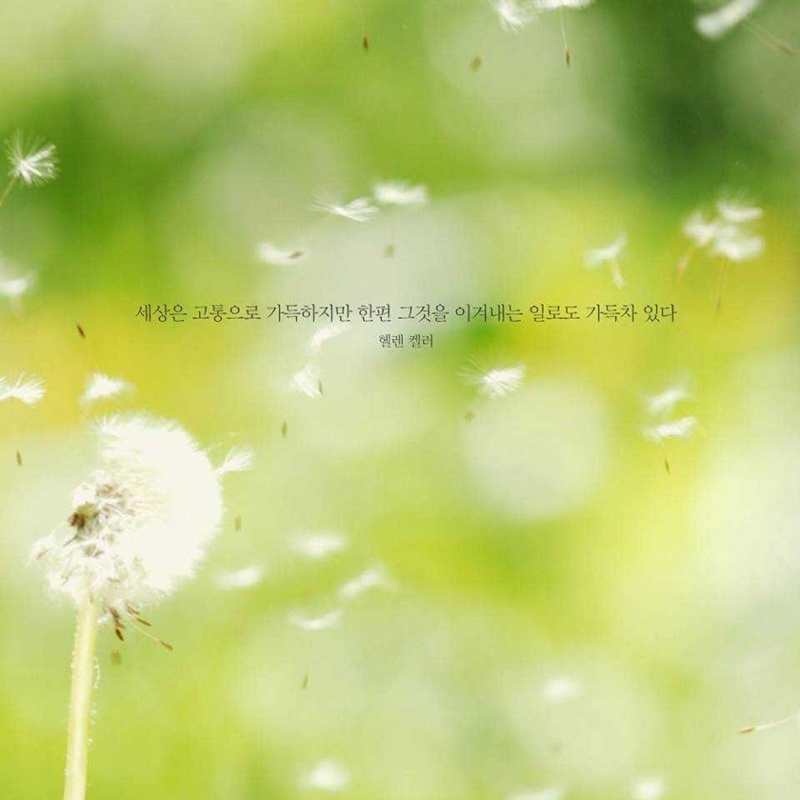 힘들 때 두고두고 보면 좋을 마음이 힐링되는 명언들 모음.jpg - 인스티즈(instiz) 이슈 카테고리