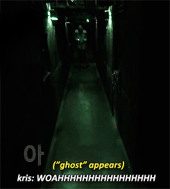 [EXO] 크리스의 비글즈티저예고 | 인스티즈