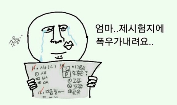 고3인쓰니의하루일과보고서10(오늘모의고사있으시죠?) | 인스티즈