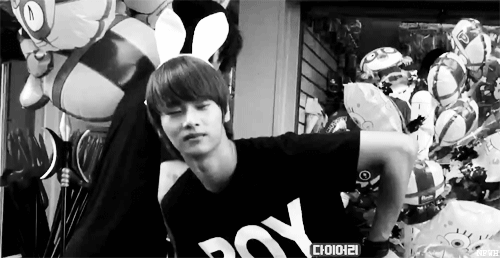 [VIXX] 펫 한번 키워보으리(00. 펫을 골라주세요) 본격 독자참여 프로젝트 빙의글 | 인스티즈