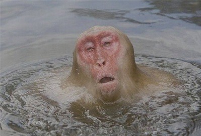 [EXO/찬열] 뺨맞고 팬싸 간 썰 | 인스티즈