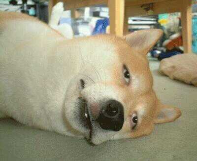 [EXO] 열두 명 비글 고교생들의 못 말리는 마법소녀 웬디썰 01 | 인스티즈