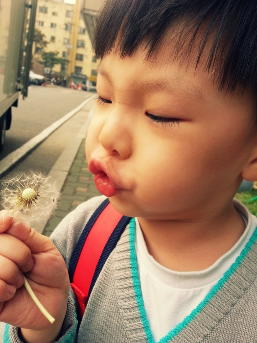 귀여운 얼짱 애기들 사진 모음(쓰니동생주의) | 인스티즈