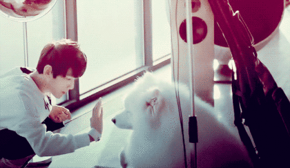 [EXO] 짤에 빙의해봅시다 ! | 인스티즈