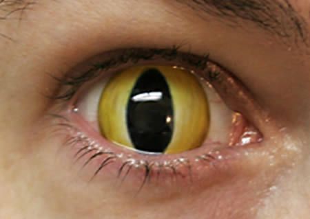 The 15 Most Unusual Contact Lenses