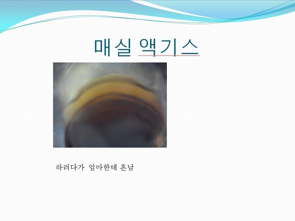 남동생이 만든 아주웃긴 ppt | 인스티즈