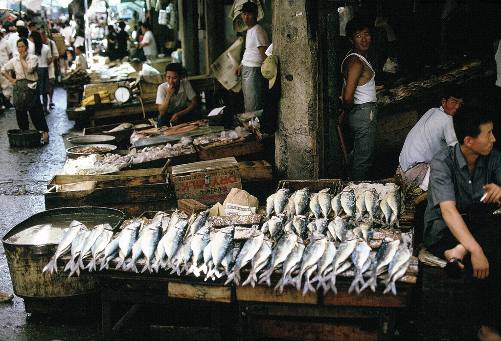 50년전 서울의 가을.jpg | 인스티즈