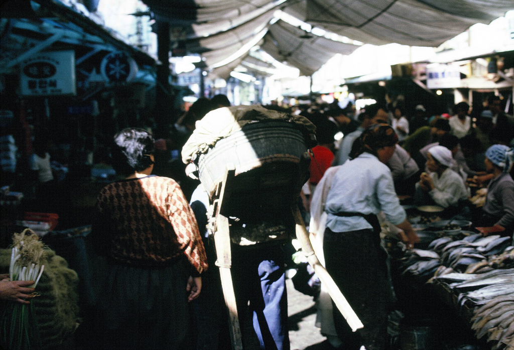 50년전 서울의 가을.jpg | 인스티즈