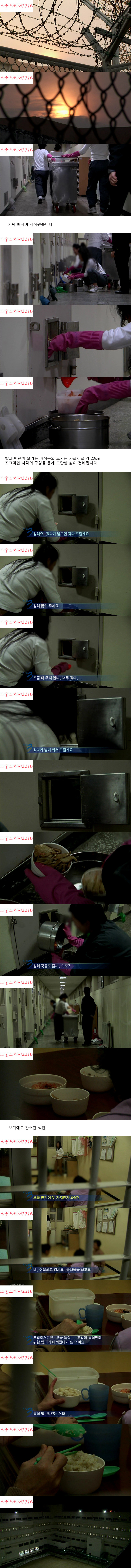 [다큐멘터리3일] 죄와 벌 - 청주 여자 교도소 72시간 (엄청난 스압) | 인스티즈