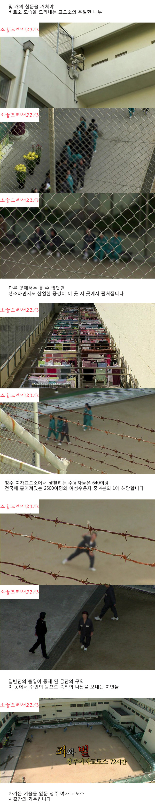 [다큐멘터리3일] 죄와 벌 - 청주 여자 교도소 72시간 (엄청난 스압) | 인스티즈