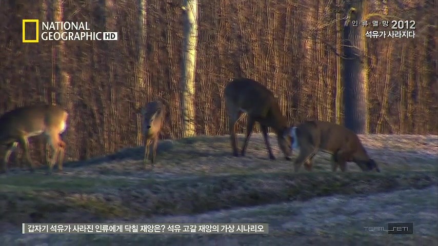 석유가 갑자기 모두 사라진다면 | 인스티즈