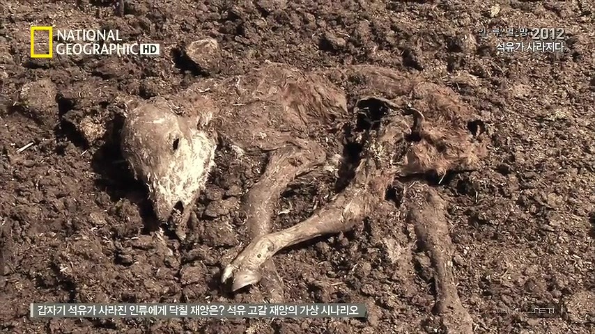 석유가 갑자기 모두 사라진다면 | 인스티즈