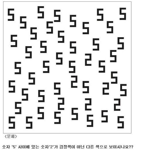공감각자에 대한 모든것 | 인스티즈