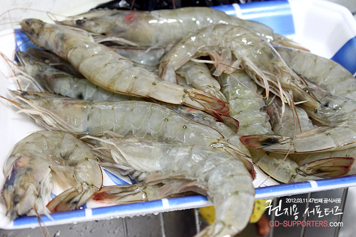 레알 멘탈 甲인 지드래곤 팬들의 조공 스케일.jpg (스압주의,정성주의,위엄주의) | 인스티즈