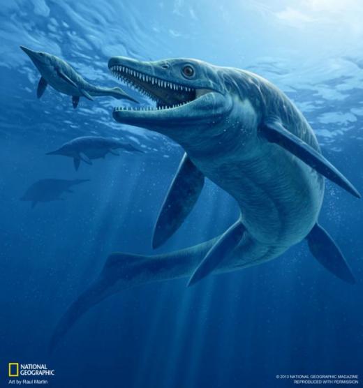 이빨만 12cm 넘는 고대 '8m 바다괴물' 발견 | 인스티즈