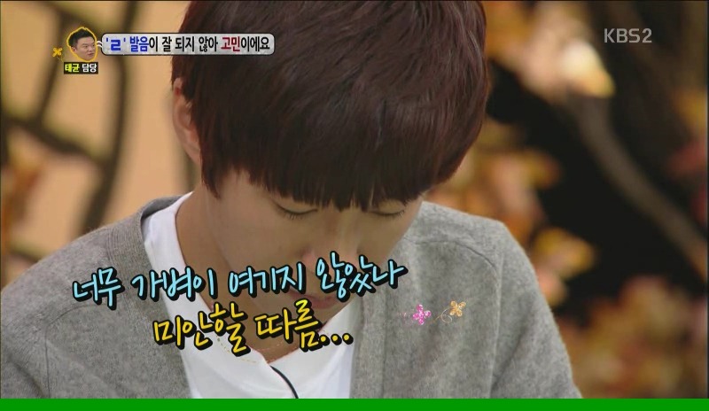 [안녕하세요] 호야가 개 날림 | 인스티즈