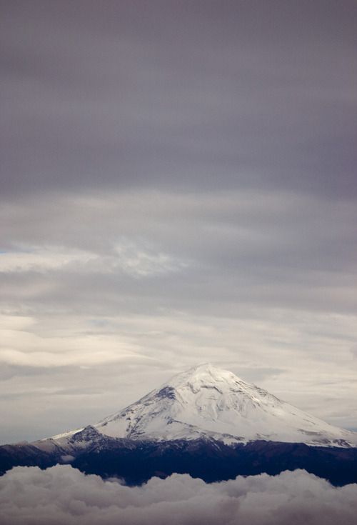 지친 당신을 위로해주는 사진과 글귀 | 인스티즈