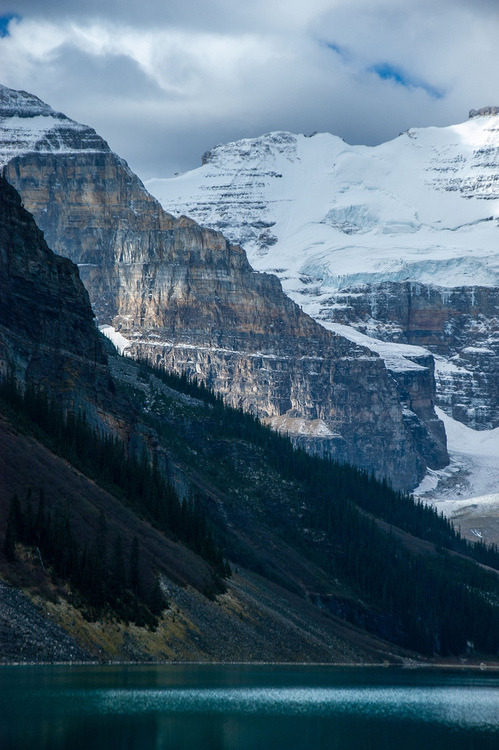 지친 당신을 위로해주는 사진과 글귀 | 인스티즈