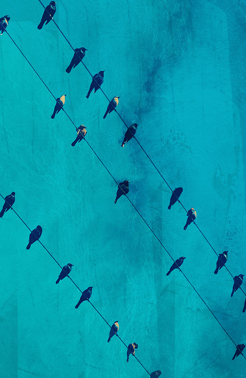 지친 당신을 위로해주는 사진과 글귀 | 인스티즈