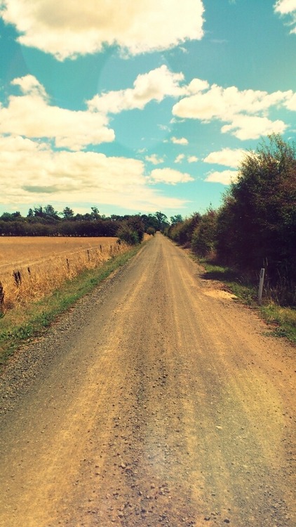 지친 당신을 위로해주는 사진과 글귀 | 인스티즈