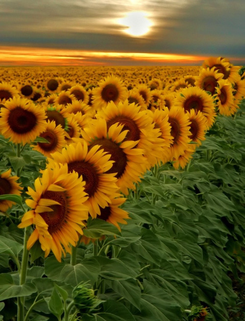 지친 당신을 위로해주는 사진과 글귀 | 인스티즈