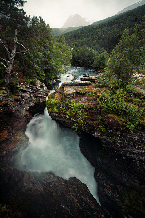 지친 당신을 위로해주는 사진과 글귀 | 인스티즈