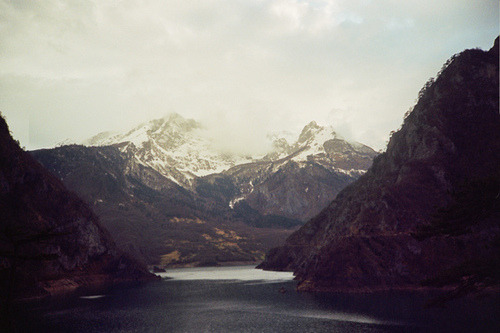 지친 당신을 위로해주는 사진과 글귀 | 인스티즈