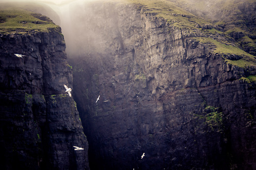 지친 당신을 위로해주는 사진과 글귀 | 인스티즈