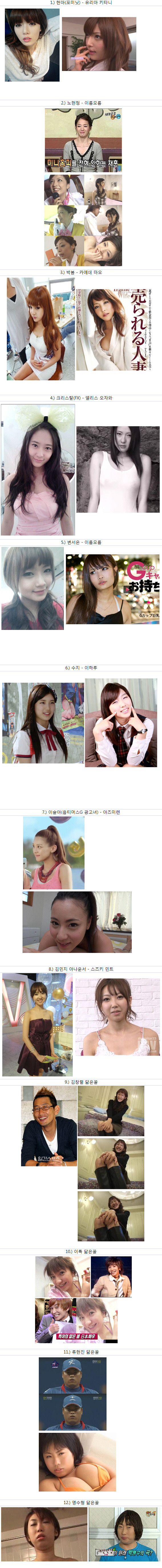 AV배우 닮은꼴 연예인들 | 인스티즈