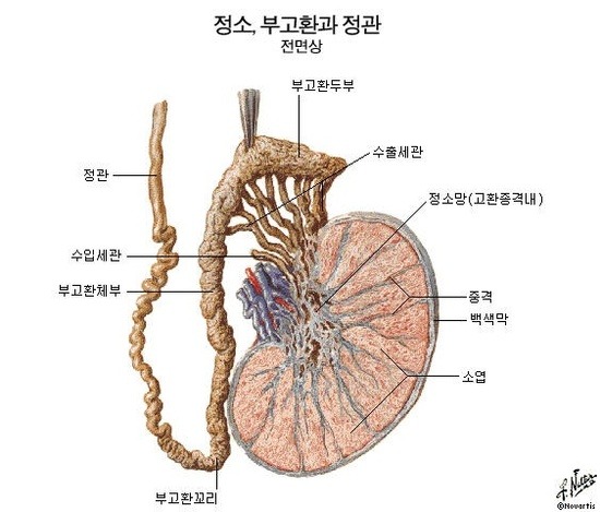 금딸시 정액이 몸에 쌓이면 ......jpg | 인스티즈