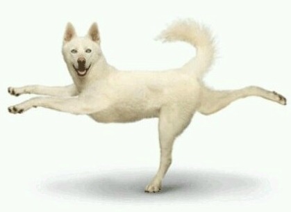 [EXO] 김종대학교 '이데아..' : 동아리 소개ㅁ7ㅁ8 ① | 인스티즈