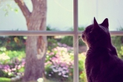 자존감이 낮은 사람들의 특징 | 인스티즈