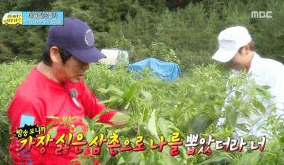 [아빠어디가] 밍데렐라 콩쥐민국ㅋㅋ.gif | 인스티즈