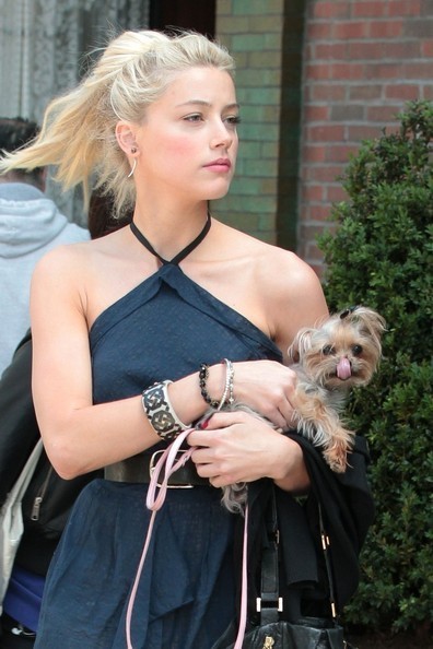 인간 블랙베리 甲 | 인스티즈